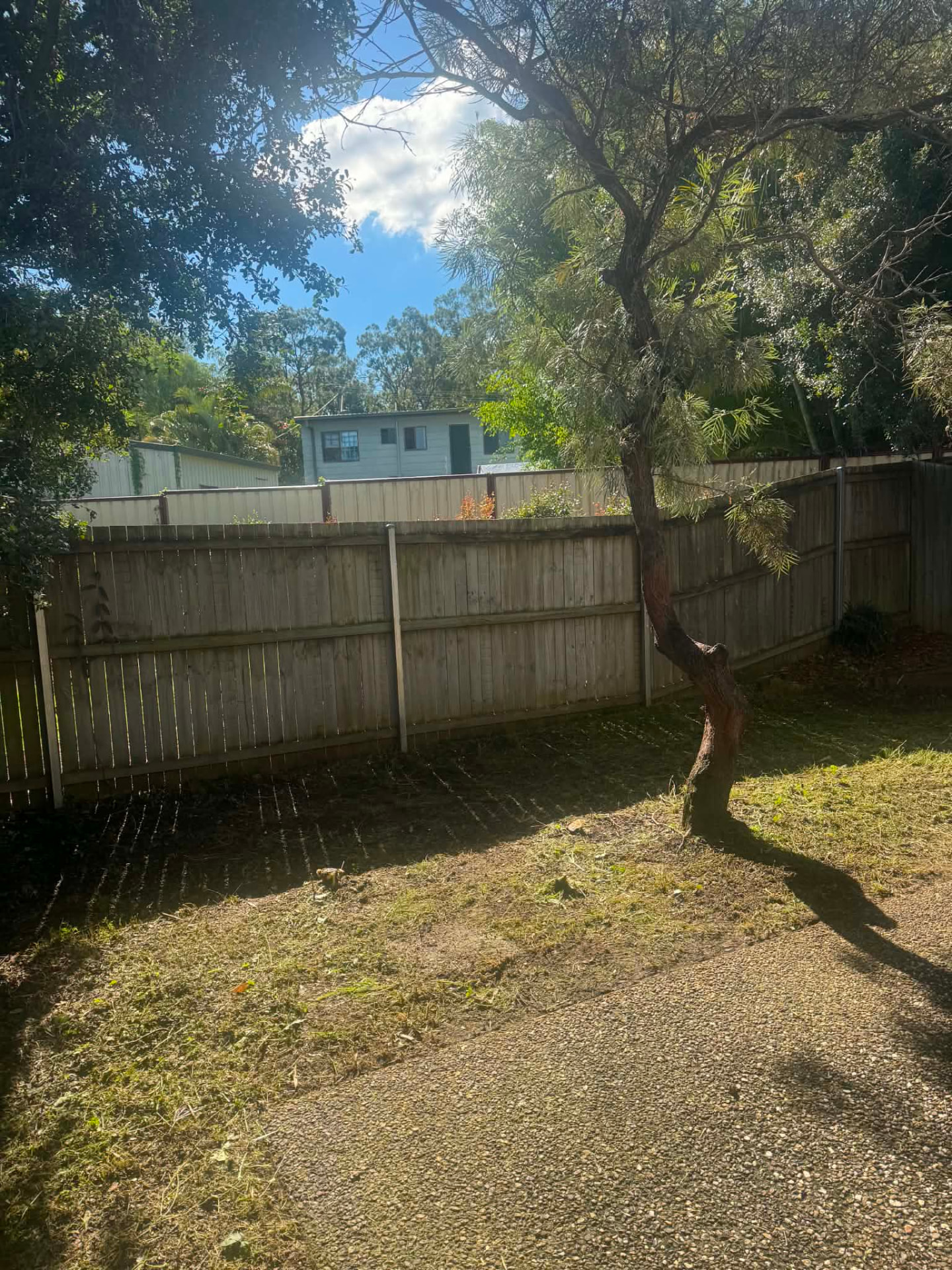 Backyard mown clean along a timber fenceline